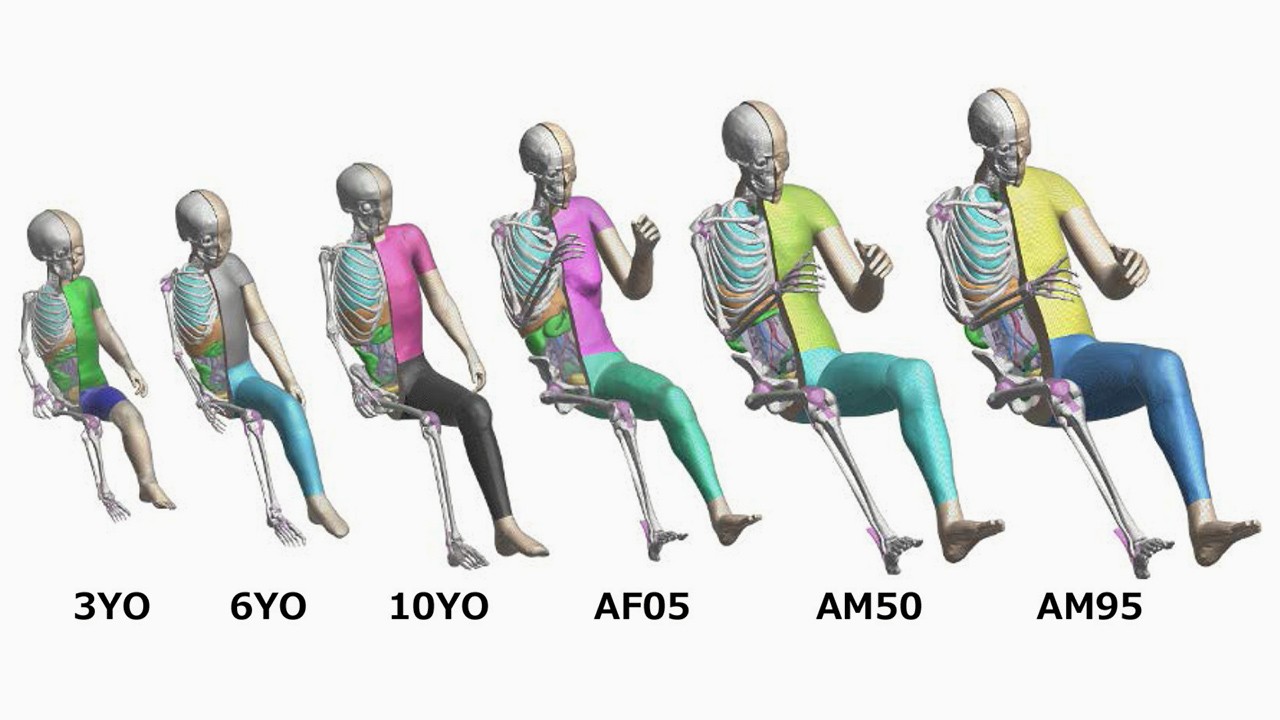 THUMS simulation